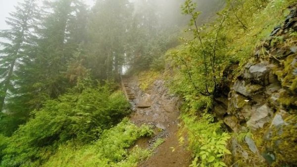 4K Virtual Walk through Beautiful Mountain Forest - Fascinating Comet Falls, Mt. Rainier Area
