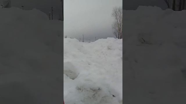 Я, папа и коньки! смотреть онлайн