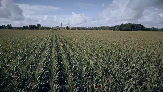 【4K】¼ HOUR DRONE FILM: «The Nature of Estonia» 🔥🔥🔥 Ultra HD 🎵 Chillout (2160p Ambient UHD TV) смотреть онлайн