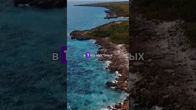 Доминикана многообразие отдыха смотреть онлайн