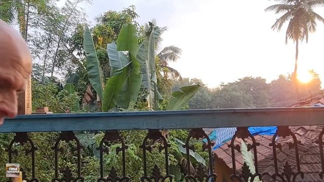 Индия Гоа. Реальная жизнь и шок Арамболя. Безопасность туристов на первом месте. #гоа #индия #india