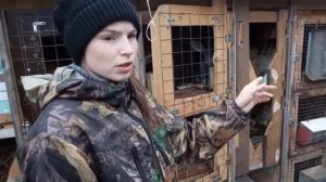 Содержание кроликов для начинающих