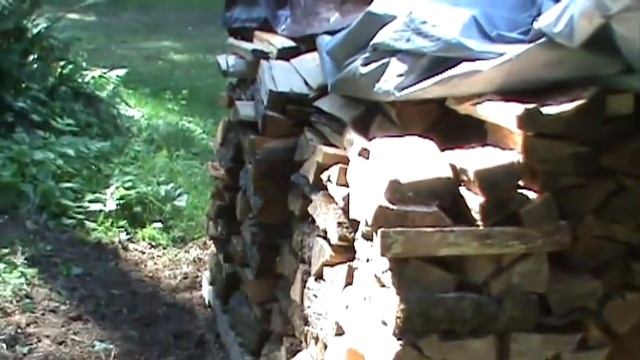 Firewood Curing - the inexpensive solution to dry firewood смотреть онлайн