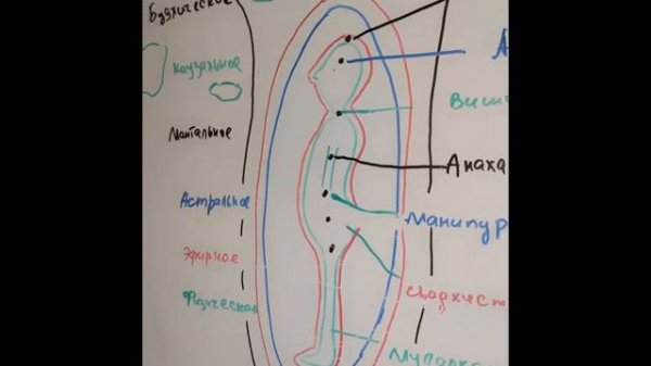 Видео о строении тонких тел человека