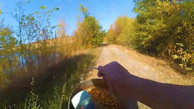 ЗАКРЫТИЕ КАРПОВОГО СЕЗОНА!!! ЗОЛОТОЙ КАРП, САМАЯ ДОРОГАЯ РЫБАЛКА В ЭТОМ СЕЗОНЕ (Рыбалка 2020)