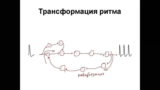 Торможение в ЦНС  Нервные центры