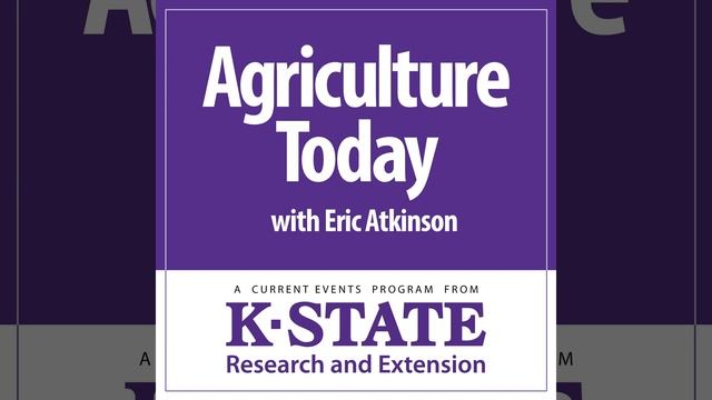 Cattle Market Update…Putting Stocker Calves Out to Pasture смотреть онлайн