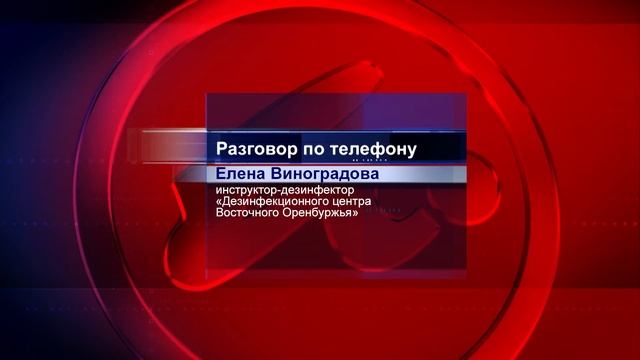 Томатная минирующая моль и белокрылка атаковали сады Зеленхоза в Орске 3 смотреть онлайн