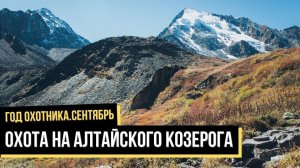 Охота на алтайского козерога / Год охотника / #6