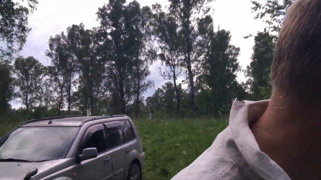 Медоносы моей пасеки в лесу смотреть онлайн