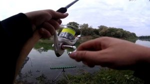 ФИДЕРНАЯ РЫБАЛКА НА РЕКЕ ВОРОНЕЖ | ЛОВИЛИ ЛЕЩА ПОЙМАЛИ КАРАСЯ