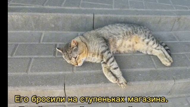 ЛЕРУА МЕРЛЕН и питомник ГОРЧУХИНО . смотреть онлайн