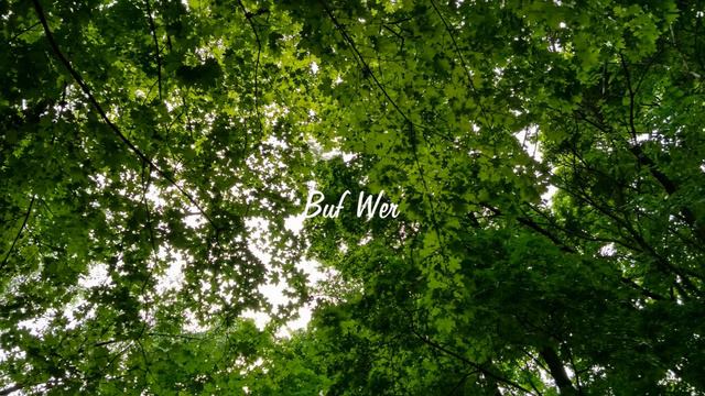 044 ROSE – CHILL смотреть онлайн