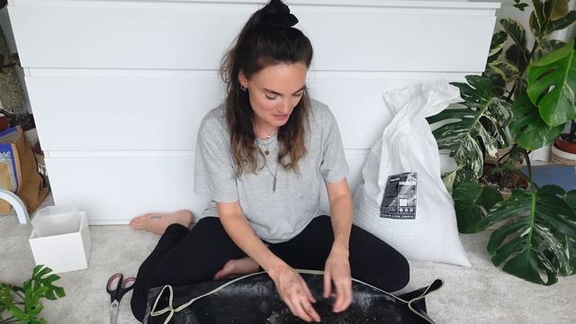 Repotting, Re-Styling + Rehabbing Monstera Minima 🌿 Rhaphidophora Tetrasperma Repot With Me смотреть онлайн