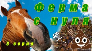 Ферма с нуля / Первые посетители / Прогулка верхом