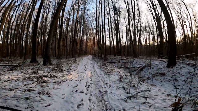 Кто ездит утром по лесам... смотреть онлайн