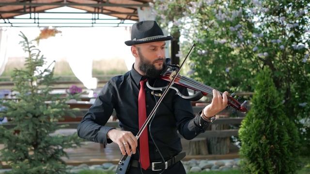 скрипка смотреть онлайн