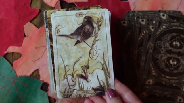 My Fall/Halloween Decks!! смотреть онлайн