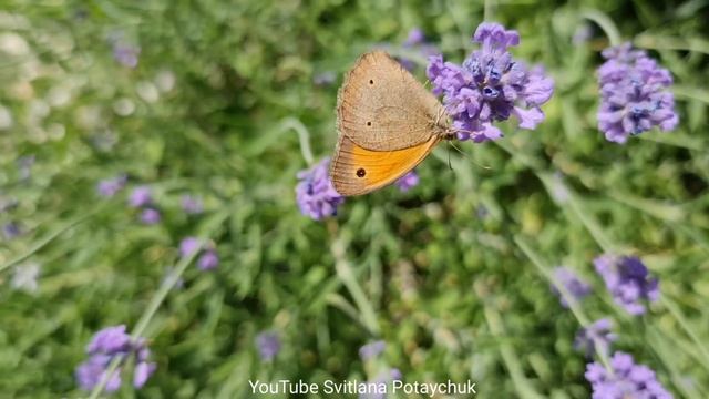 Секреты ухода за кожей в холодное время года