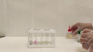 Лабораторная работа №1. Опыт 3. Реакции кислот с металлами, основаниями, солями