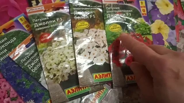 Мини-петунии.Мои любимые сорта петунии.Часть 2. смотреть онлайн