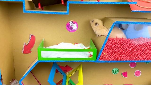 ?Hamster Fled! Please Come Back Home! Monster Maze? [OBSTACLE COURSE] ? смотреть онлайн