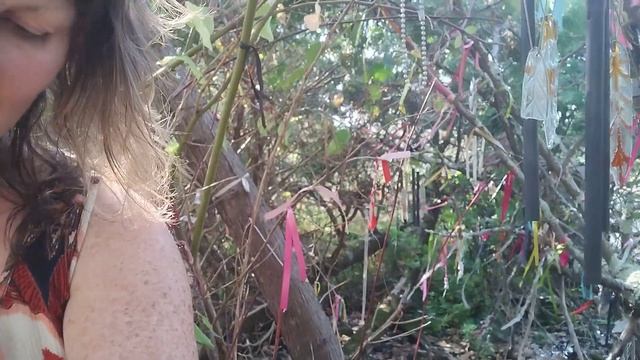 Prayers Energy Healing♥️ Ribbon Tree ?Special Healing Prayer place?Reiki healing Oracle reading? смотреть онлайн