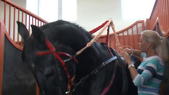 В Нижнетагильском цирке заключительное представление смотреть онлайн