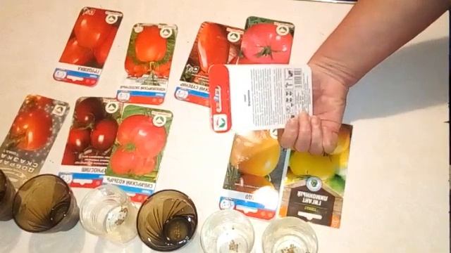 ЭТИ НОВИНКИ буду СЕЯТЬ ОБЯЗАТЕЛЬНО! 10 Урожайных СОРТОВ ТОМАТОВ. Мой выбор смотреть онлайн