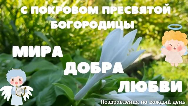 поздравление с покровом пресвятой богородицы смотреть онлайн