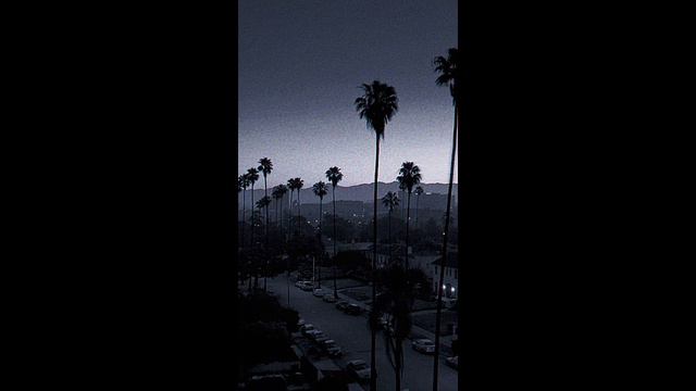 Ann Altair - Burning Man (snippet)