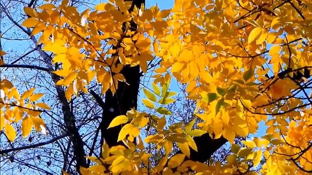 Всё это называется природа смотреть онлайн