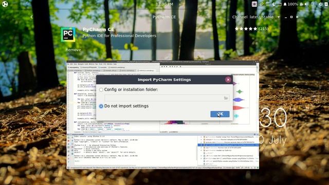 Python, Pycharm, Pyqt5, and Qt Designer Installations смотреть онлайн