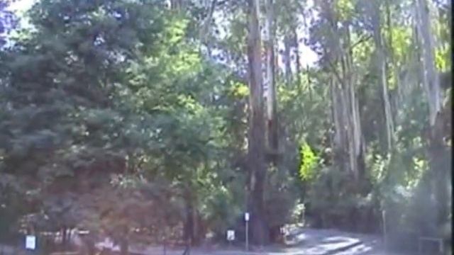 Dandenong National Park смотреть онлайн