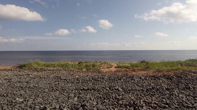 На поезде вдоль Белого моря. Путь к Нёноксе смотреть онлайн