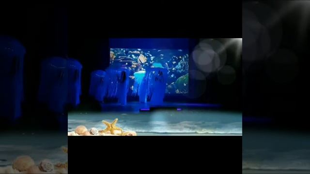 Танцевальная феерия "На морском дне". Театр танца "Гюнеш". Руководитель Ольга Антонова смотреть онлайн