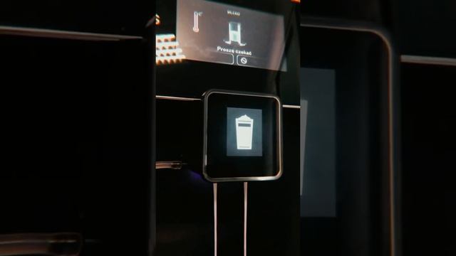 4SWISS ROMA A10 - czyszczenie układu mlecznego | Instrukcja смотреть онлайн