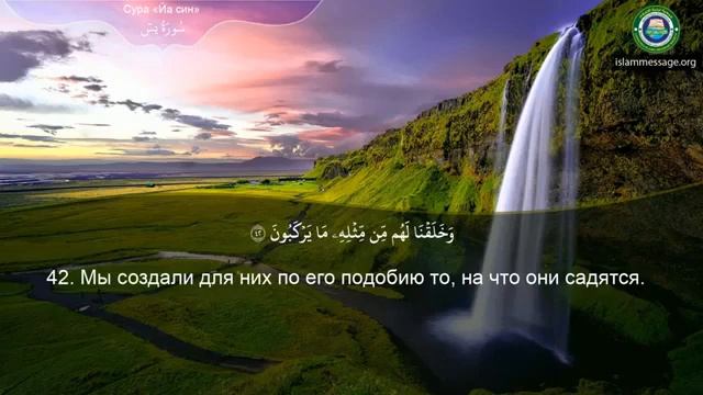 36. _Сура_ ❤️Ясин❤️ Мишари Рашид