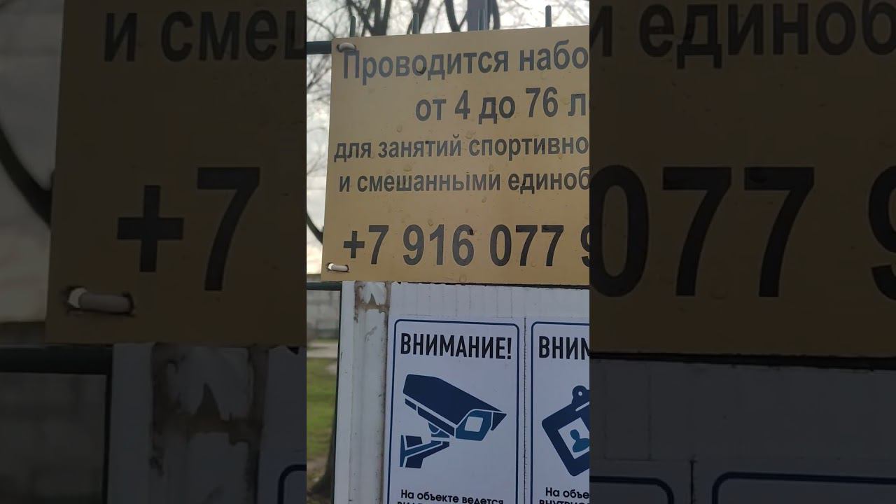 В Евпатории самбистам детский возраст продлён до 67 лет))) #shotrs #приколы #смешно смотреть онлайн