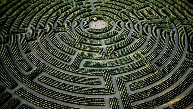 Знак "@" — Почему назвали СОБАКОЙ ??? смотреть онлайн