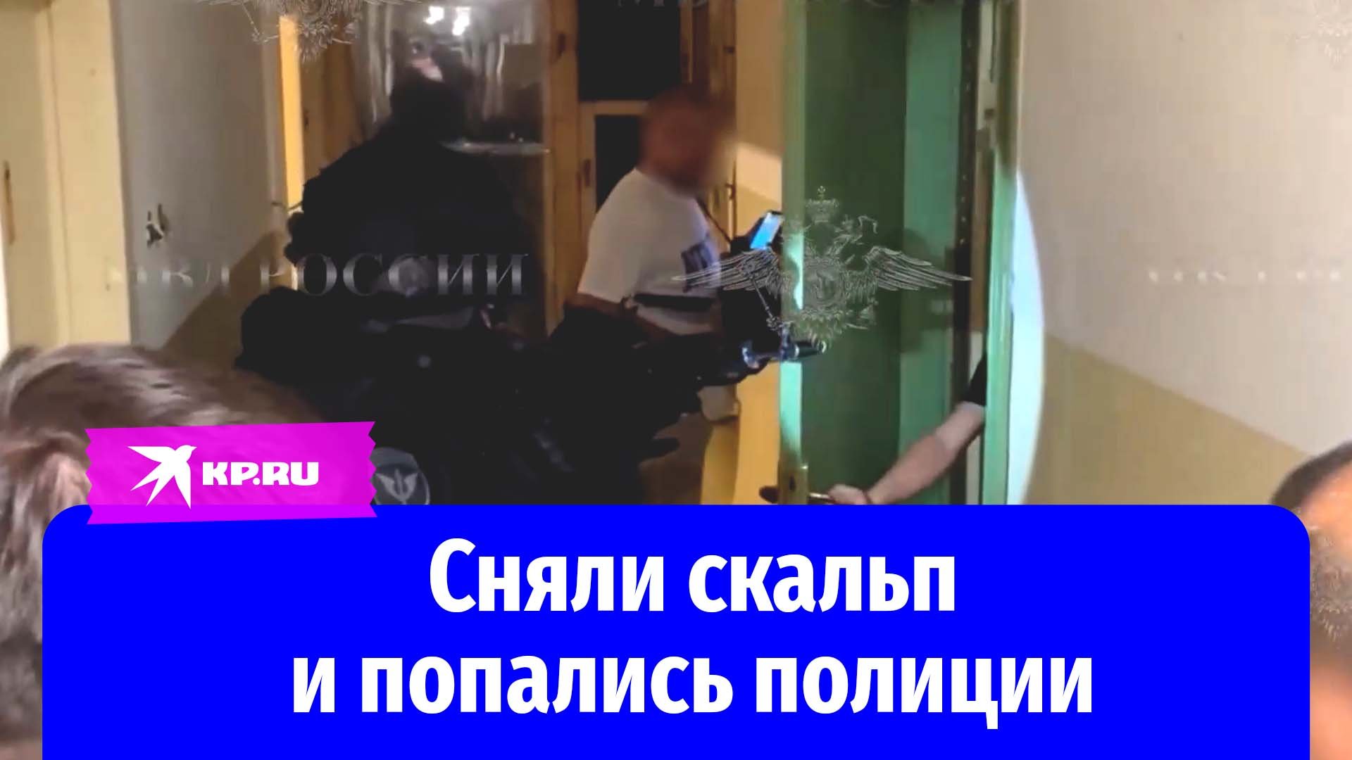 Видео задержания мужчин, которые сняли скальп с прохожего в Электростали, опубликовало МВД