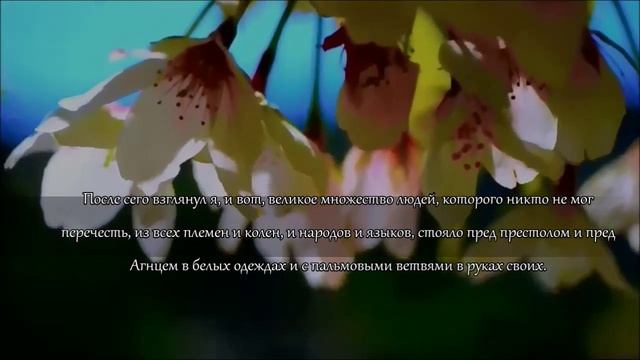 Откровение Святого Иоанна Богослова. Глава 07 смотреть онлайн