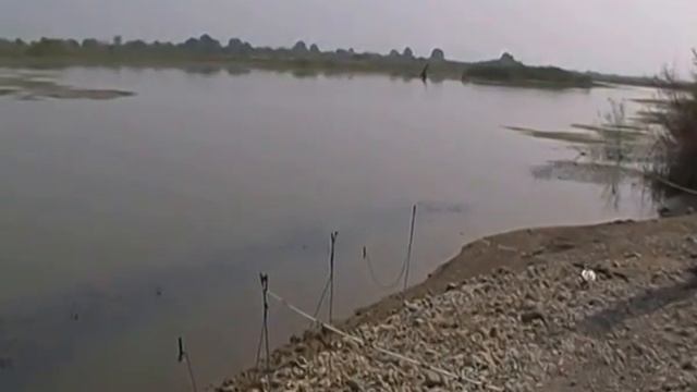 Рыбалка { Река Кура - Июль 2016 год } Balıq ovu { Samux rayonu, Kür çayı - iyul 2016 il } смотреть онлайн