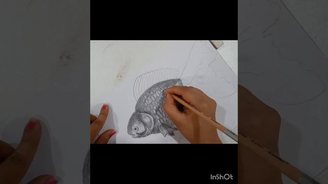 Realistic fish sketch........ ? смотреть онлайн