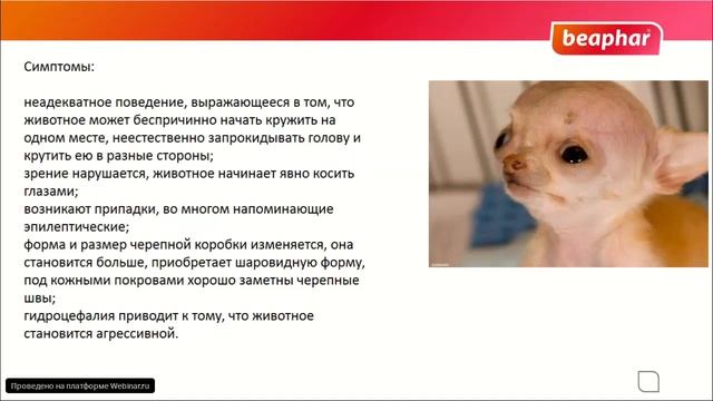 Гидроцефалия смотреть онлайн