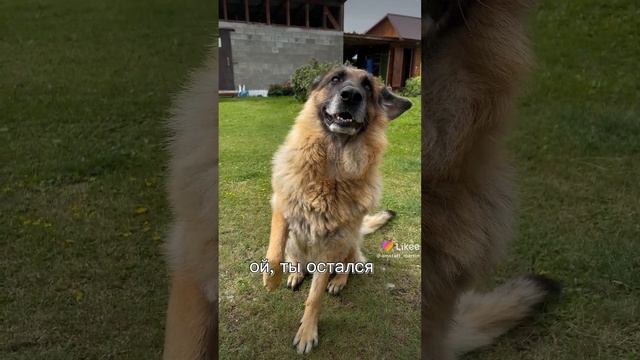 смотреть онлайн