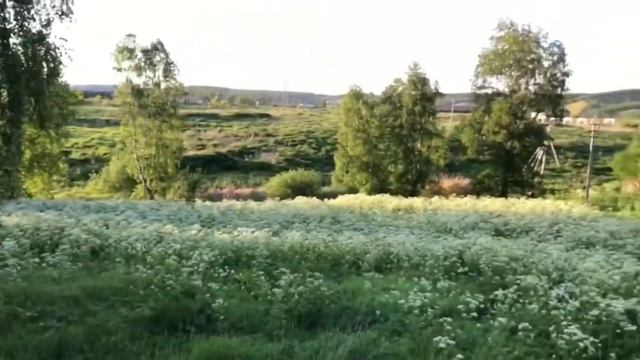 п.Элита, ул.Рокосовского/3 минуты от центра посёлка/25 соток/Околок леса на участке 🌲🌳🌲: 2000 🍋 смотреть онлайн