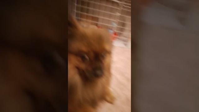 26 сентября 2023 г. смотреть онлайн