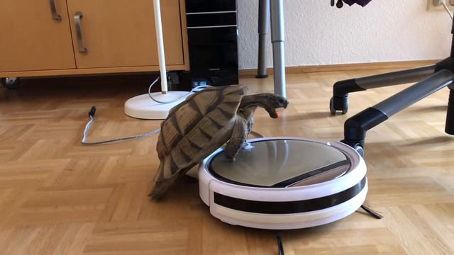 Karlsson in Love Teil 4 - Happy End смотреть онлайн